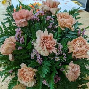 Meet your Posher, Bri